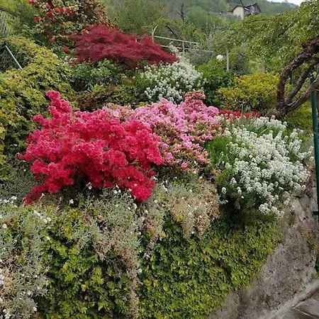 Lucio&pina House Апартаменты