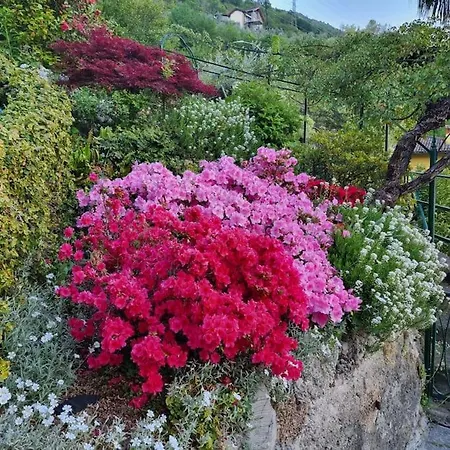 Lucio&pina House * Дервио