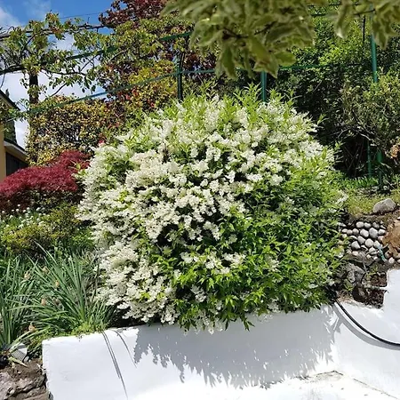 Lucio&pina House * Dervio