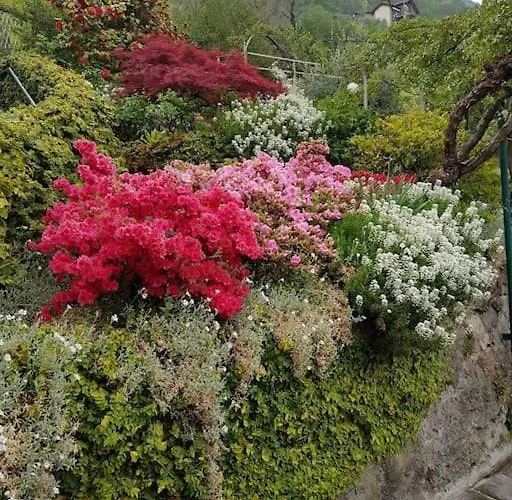 Lucio&pina House Appartement