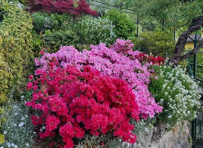 Lucio&pina House * Дервио