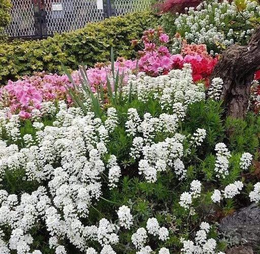 Lucio&pina House Апартаменты *